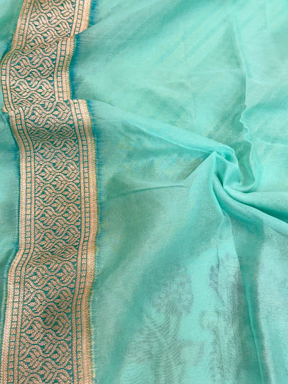 Light Blue Rangkat Chiffon Khaddi Banarasi Saree