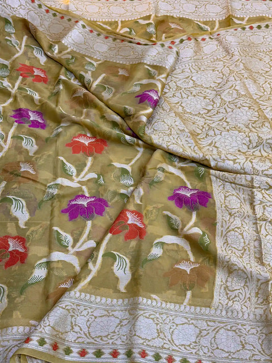 Parmesean Shade Floral Chiffon Silk Banarasi Saree